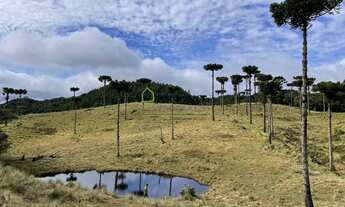 Imagem: TERRENO Á VENDA EM RANCHO QUEIMADO SC