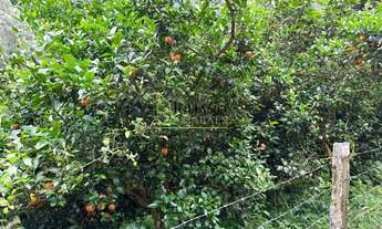 Imagem 5: SÍTIO Á VENDA, Anitápolis SC