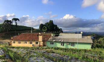 Imagem 2: Chácara À VENDA, Mato Francês - RANCHO QUEIMADO SC