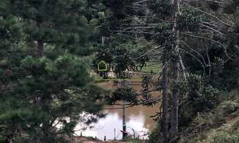 Imagem 6: Chácara À VENDA, Mato Francês - RANCHO QUEIMADO SC