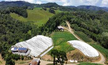 Imagem 5: Chácara À VENDA, Mato Francês - RANCHO QUEIMADO SC