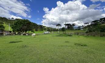 Imagem 7: TERRENO Á VENDA no PINHEIRAL - RANCHO QUEIMADO SC