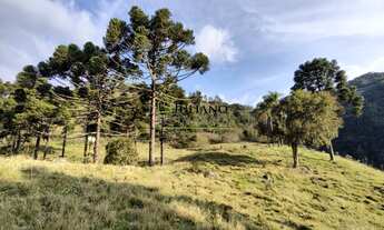 Imagem 6: TERRENO Á VENDA - RANCHO QUEIMADO SC