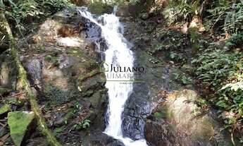 Imagem 2: TERRENO À VENDA - Rio Pequeno/ANGELINA SC