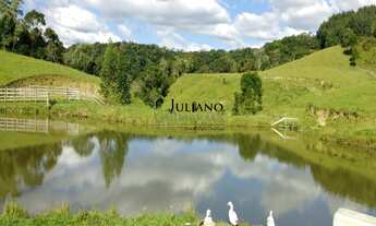 Imagem 5: TERRENO À VENDA - Rio Pequeno/ANGELINA SC