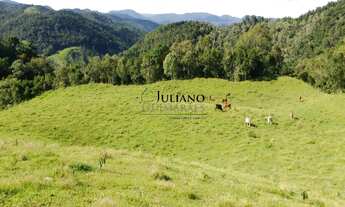 Imagem 3: TERRENO À VENDA - Rio Pequeno/ANGELINA SC