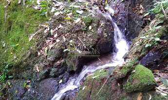 Imagem 4: TERRENO À VENDA - Rio Pequeno/ANGELINA SC