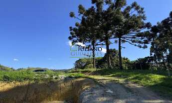 Imagem 6: Terreno À VENDA, no MATO FRANCÊS em RANCHO QUEIMADO SC