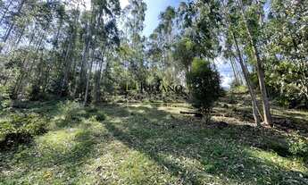 Imagem: TERRENO á venda em ANITAPOLIS - SC