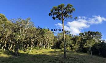 Imagem 3: LINDO TERRENO RURAL, com RIO, á venda em Rancho Queimado - SC