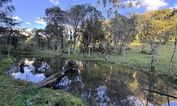 Imagem 2: LINDO TERRENO RURAL, com RIO, á venda em Rancho Queimado - SC