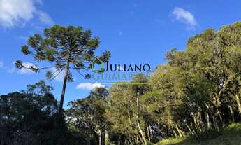 Imagem: LINDO TERRENO RURAL, com RIO, á venda em