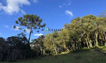 Imagem 4: LINDO TERRENO RURAL, com RIO, á venda em Rancho Queimado - SC