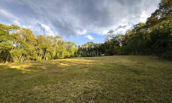 Imagem 5: TERRENO RURAL com 2 HECTARES À VENDA - RANCHO QUEIMADO SC