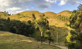 Imagem: TERRENO RURAL com 2 HECTARES À VENDA