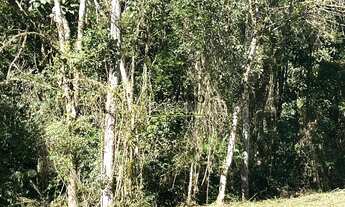 Imagem 2: TERRENO Á VENDA EM RANCHO QUEIMADO