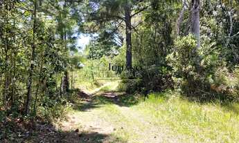 Imagem 2: TERRENO á venda - RANCHO QUEIMADO SC