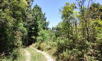 Imagem 3: TERRENO á venda - RANCHO QUEIMADO SC