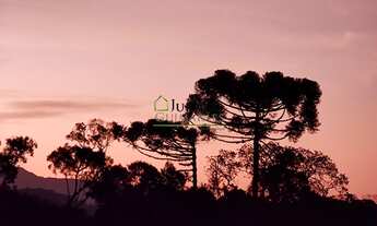 Imagem: TERRRENO À VENDA - RANCHO QUEIMADO SC