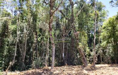 Imagem 4: TERRENO á venda em CONDOMÍNIO residencial - RANCHO QUEIMADO SC