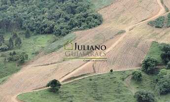 Imagem 6: TERRENO Á VENDA EM ANGELINA