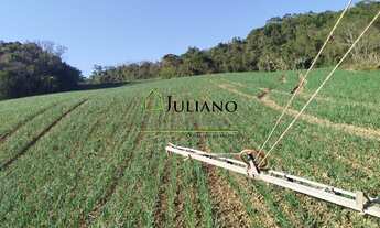 Imagem: TERRENO Á VENDA EM ANGELINA