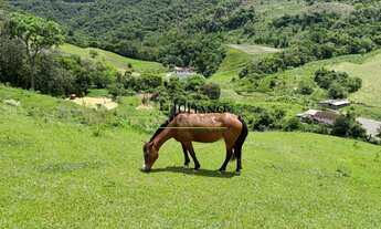 Imagem 2: CASA Á VENDA, no mato francês em RANCHO QUEIMADO SC