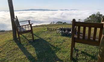 Imagem: EXCELENTE SITIO Á VENDA com 14 Hectares