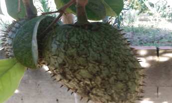 Imagem 3: CHACARA RESIDENCIAL em BOTUCATU - SP, PARQUE BELA VISTA (RUBIÃO JUNIOR