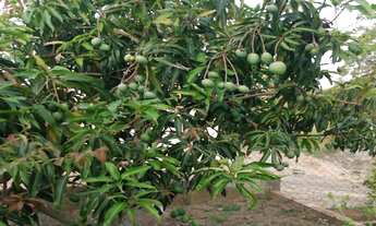 Imagem 4: CHACARA RESIDENCIAL em BOTUCATU - SP, PARQUE BELA VISTA (RUBIÃO JUNIOR