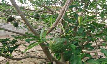 Imagem 7: CHACARA RESIDENCIAL em BOTUCATU - SP, PARQUE BELA VISTA (RUBIÃO JUNIOR