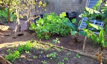 Imagem 2: TERRENO RESIDENCIAL em BOTUCATU - SP, VILA FERROVIÁRIA