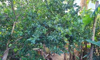 Imagem 6: TERRENO RESIDENCIAL em BOTUCATU - SP, VILA FERROVIÁRIA