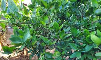 Imagem 5: TERRENO RESIDENCIAL em BOTUCATU - SP, VILA FERROVIÁRIA