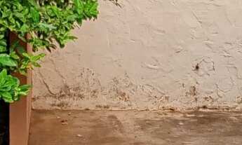 Imagem 3: CASA RESIDENCIAL em BOTUCATU - SP, VILA PINHEIRO