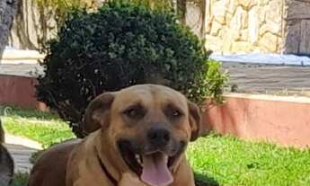 Imagem 3: CHACARA RESIDENCIAL em BOTUCATU - SP, RECREIO BOA VISTA