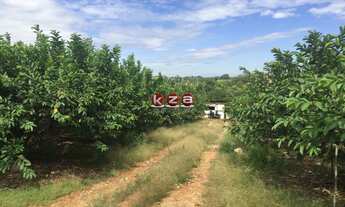 Imagem: Sítio à venda em Valinhos-SP, bairro Macuco