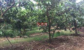 Imagem 4: Sítio à venda em Valinhos-SP, bairro Macuco: 1 quarto, 1 banheiro, 32.000m² de área! Aprov