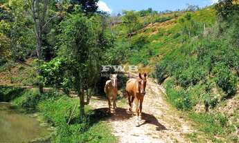 Imagem: TERRENO VALE DAS VIDEIRAS - PETROPÓLIS