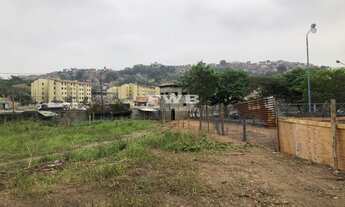Imagem 6: TERRENO EM COELHO NETO PROXIMO AV BRASIL