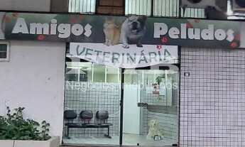 Imagem: LOJA 245m² A VENDA EM SÃO CONRADO