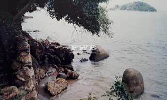 Imagem 3: 23991M² de Área Total na Estrada Vereador Benedito Adelino