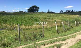 Imagem: FAZENDA PRODUTIVA COM 52 ALQUEIRES EM ARARUAMA