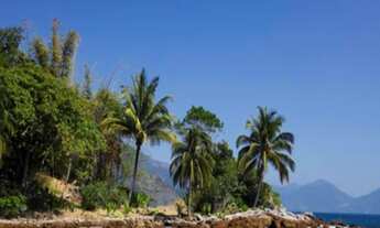Imagem 2: EXCEPCIONAL ILHA PARTICULAR NA LAGOA AZUL, ILHA GRANDE, ANGRA DOS REIS