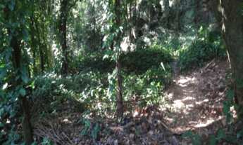 Imagem 3: TERRENO EM CONDOMÍNIO FECHADO NO ITANHANGA