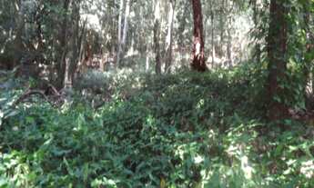 Imagem 4: TERRENO EM CONDOMÍNIO FECHADO NO ITANHANGA