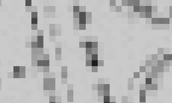 Imagem 7: Terreno Aterrado à venda na Riviera de Bertioga-SP: 480,00 m² de área!