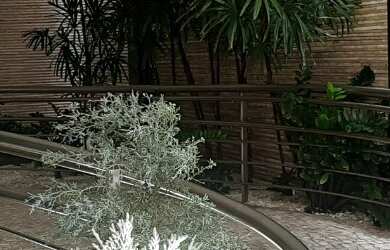 Imagem 2: Salas comerciais andar inteiro à venda (Edifício Miguel Seabra Fagudes