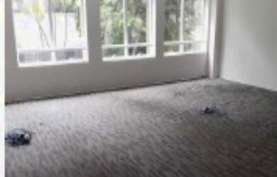 Imagem 7: GS Empresarial Park Nações Unidas Condomínio de Galpões