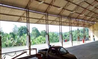 Imagem 5: Galpão Industrial - Limeira - SP